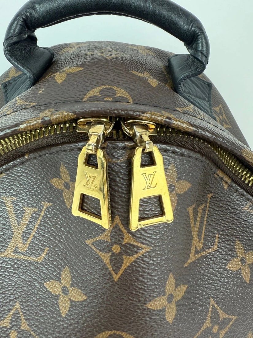 Louis Vuitton Backpack Palm Springs PM Monogram Canvas Backpack - 14