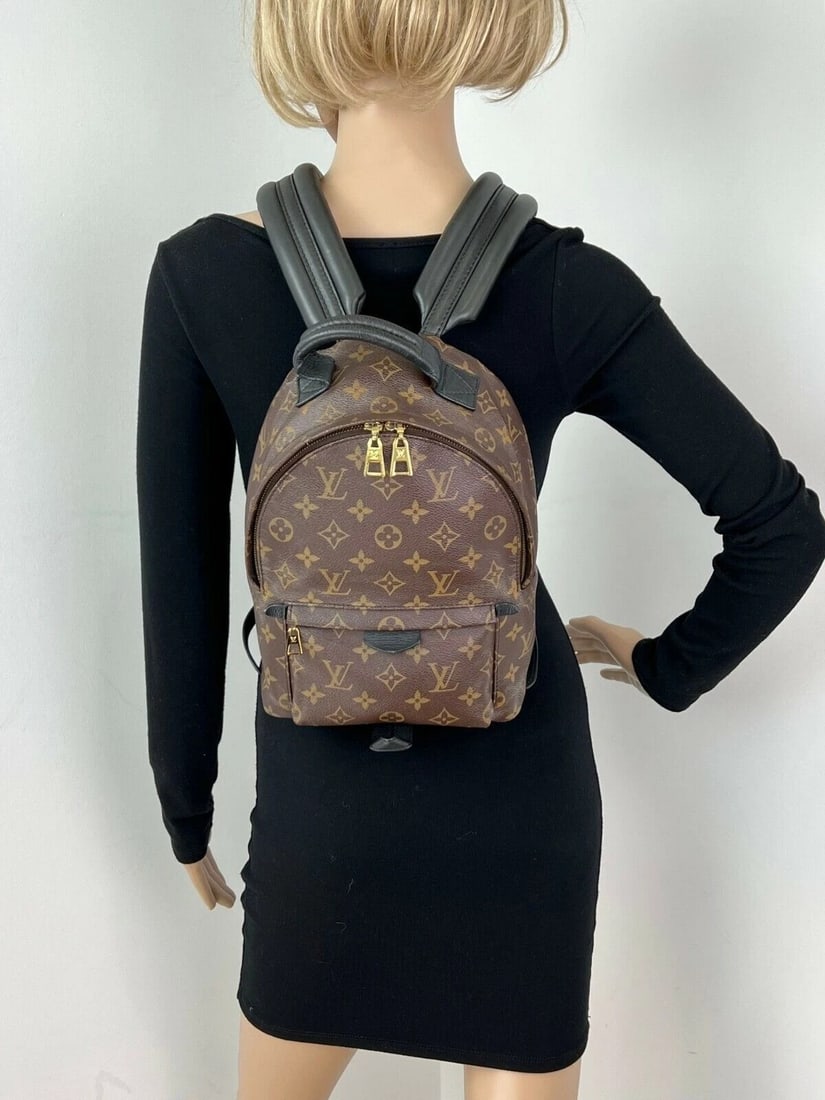 Louis Vuitton Backpack Palm Springs PM Monogram Canvas Backpack - 16