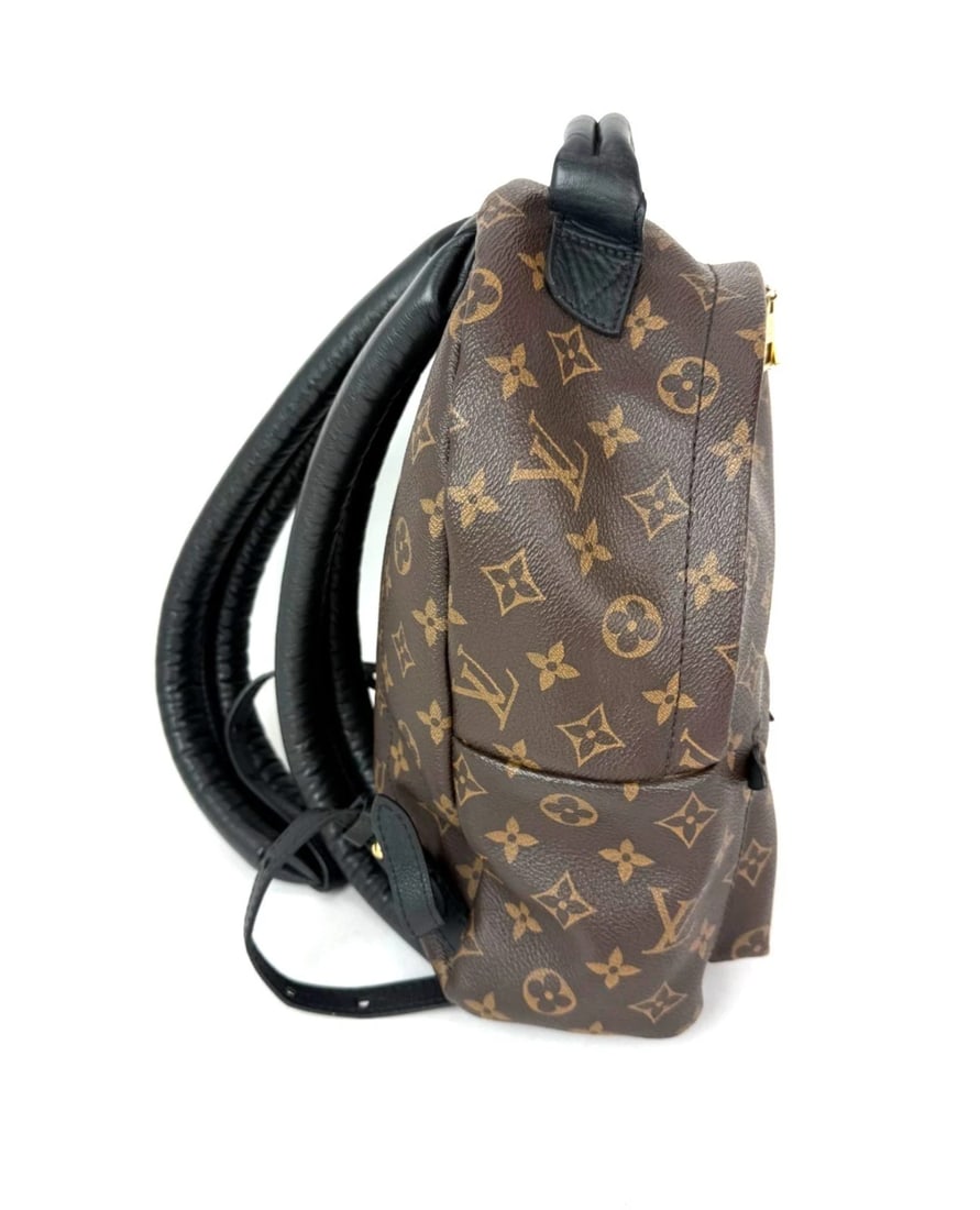 Louis Vuitton Backpack Palm Springs PM Monogram Canvas Backpack - 3