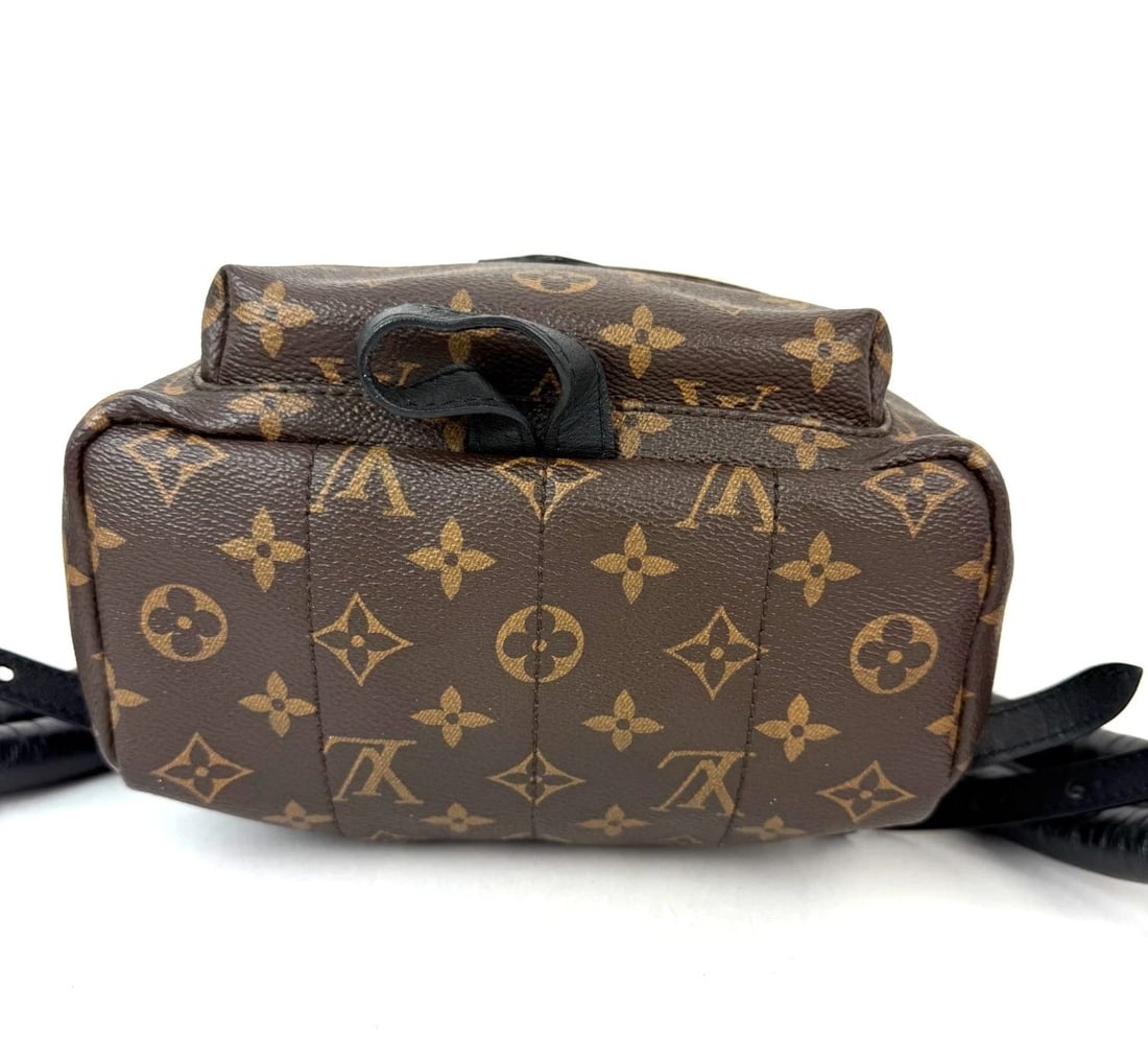 Louis Vuitton Backpack Palm Springs PM Monogram Canvas Backpack - 5