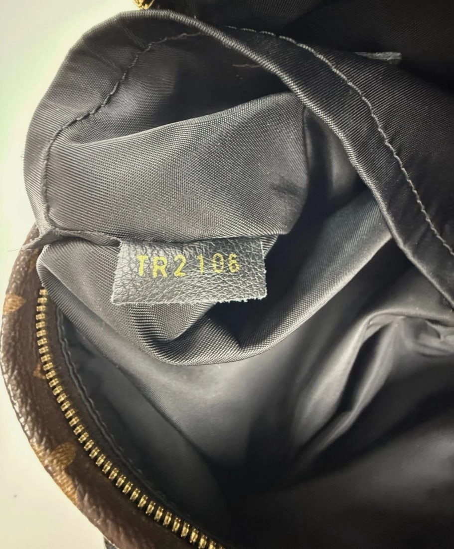 Louis Vuitton Backpack Palm Springs PM Monogram Canvas Backpack - 7