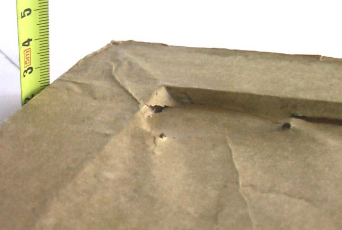 Oil painting Mother's portrait Lerman Zoya - 6