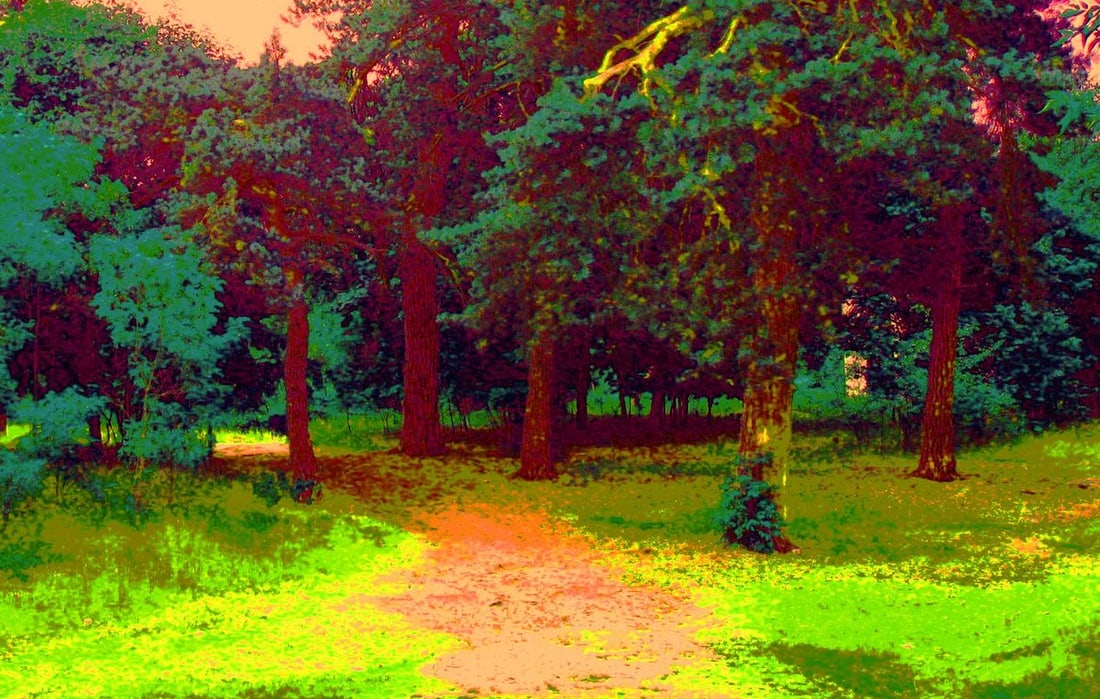 Oil painting Sunset in the forest Boris Serdyuk - 7