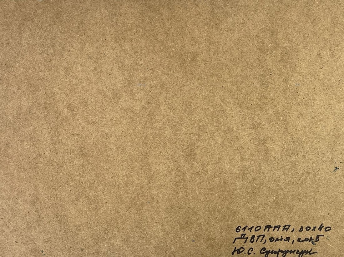 Oil painting City coastal boats Yuriy Suprunchuk - 11