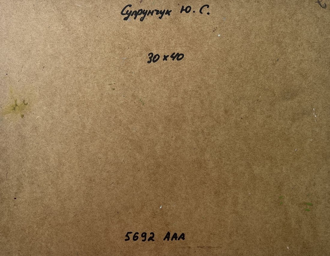 Oil painting House by the sea Yuriy Suprunchuk - 10