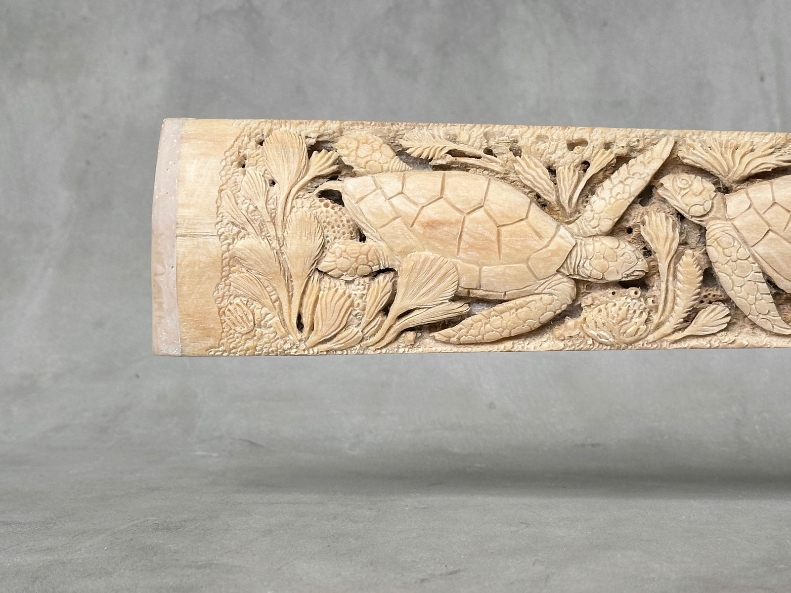 Beautiful engraved Swordfish rostrum - Marine motif - 6