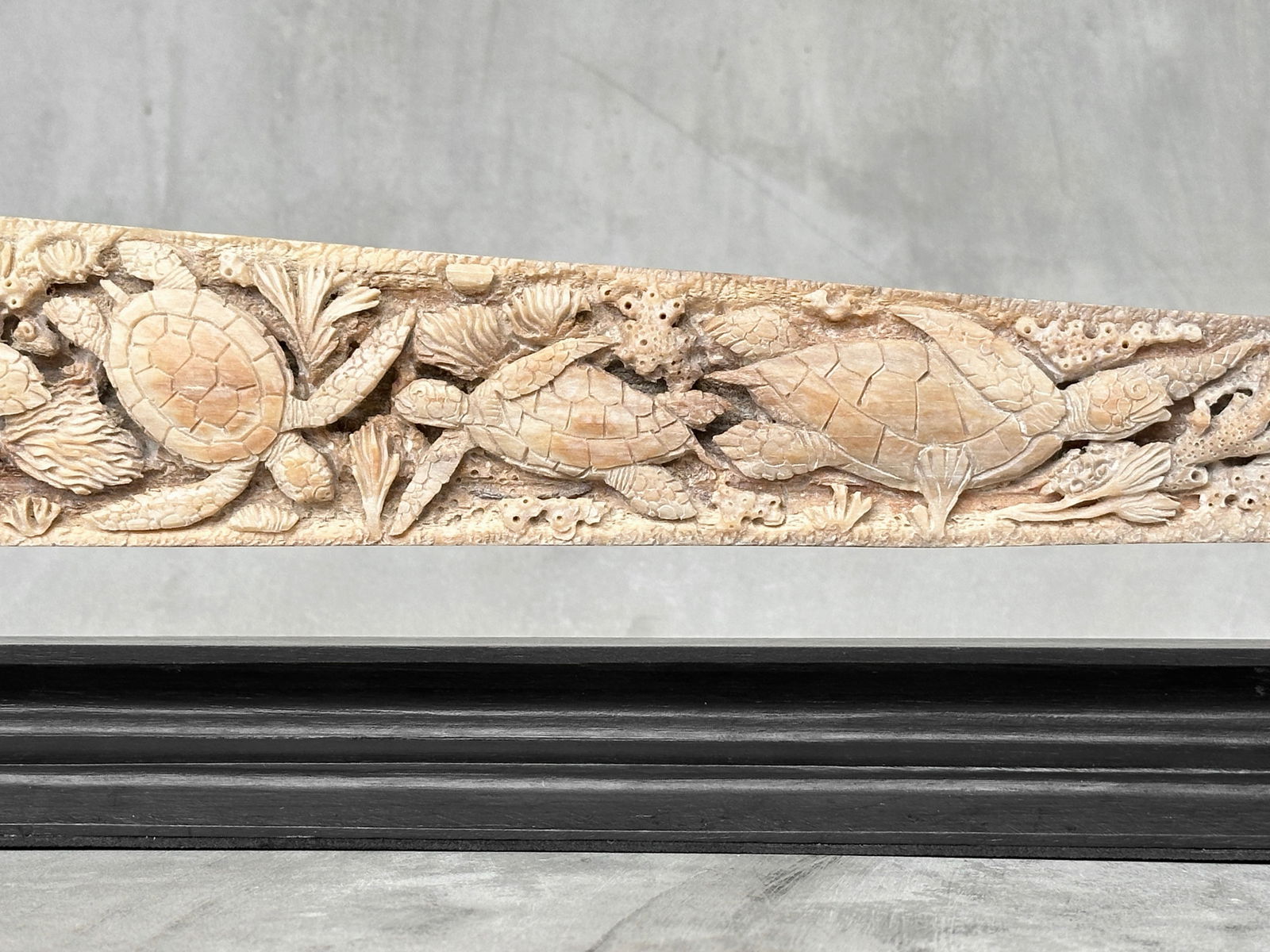 Beautiful engraved Swordfish rostrum - Marine motif - 8