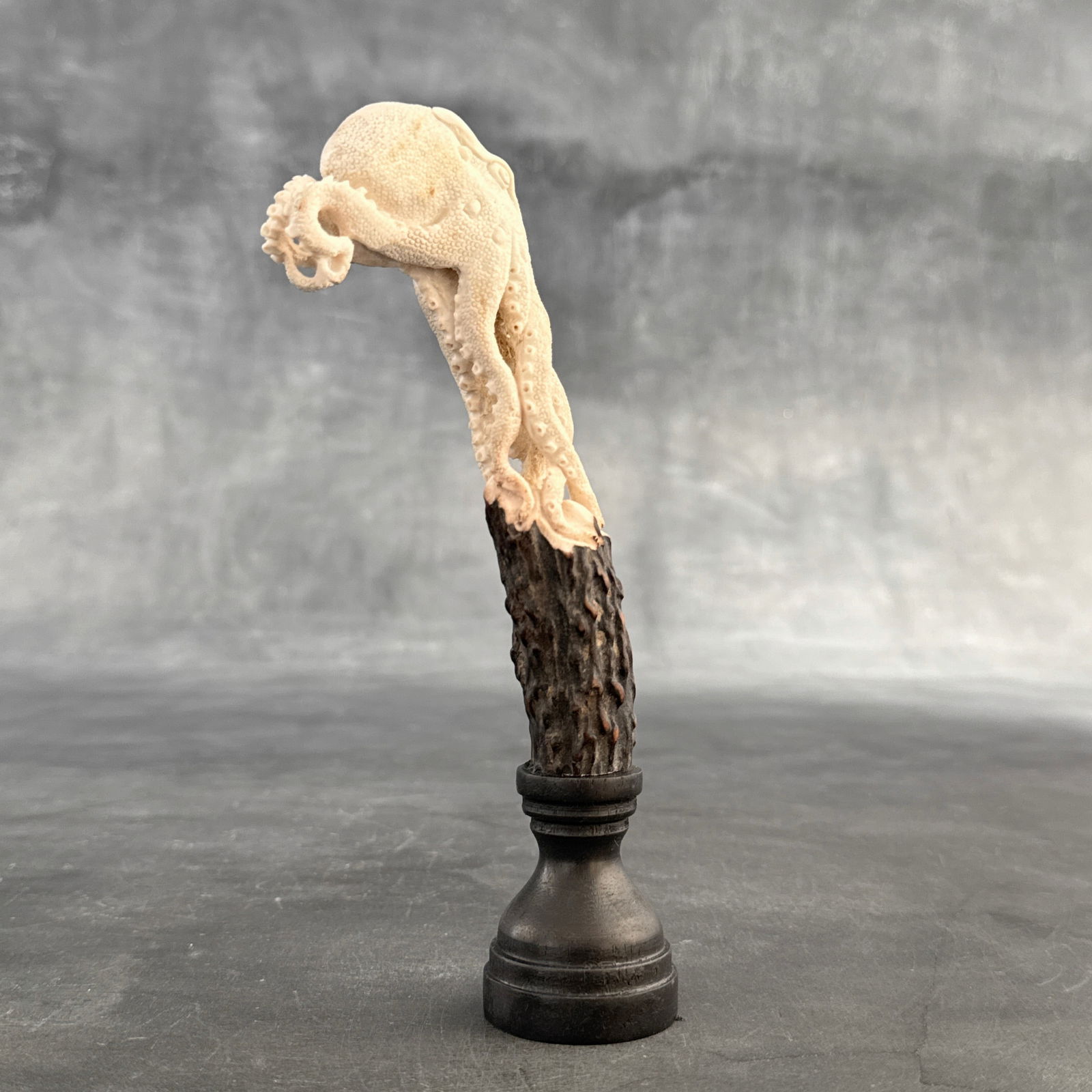 Stunning carved deer antler with stand - Octopus carving - 10