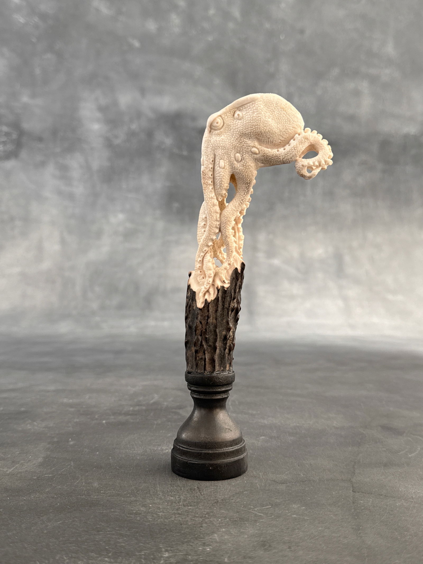 Stunning carved deer antler with stand - Octopus carving - 2