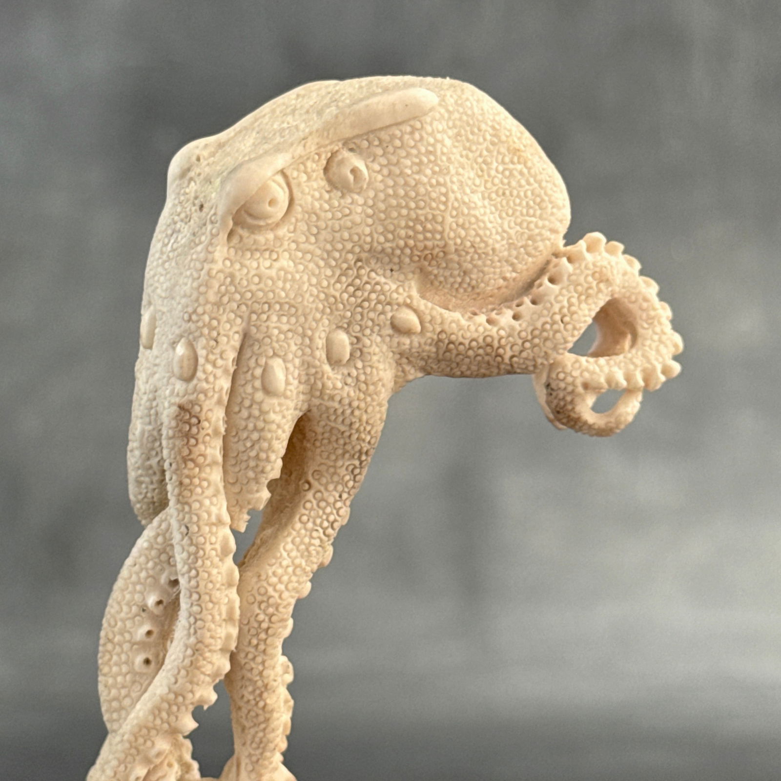 Stunning carved deer antler with stand - Octopus carving - 5