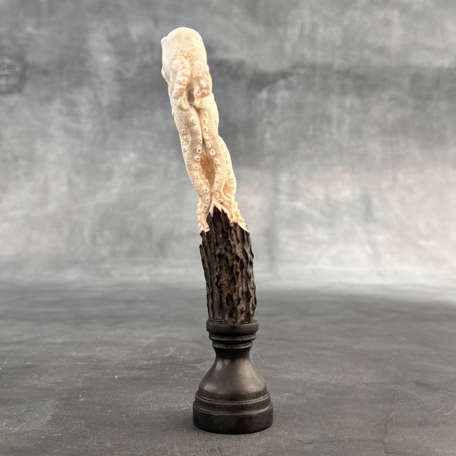 Stunning carved deer antler with stand - Octopus carving - 7
