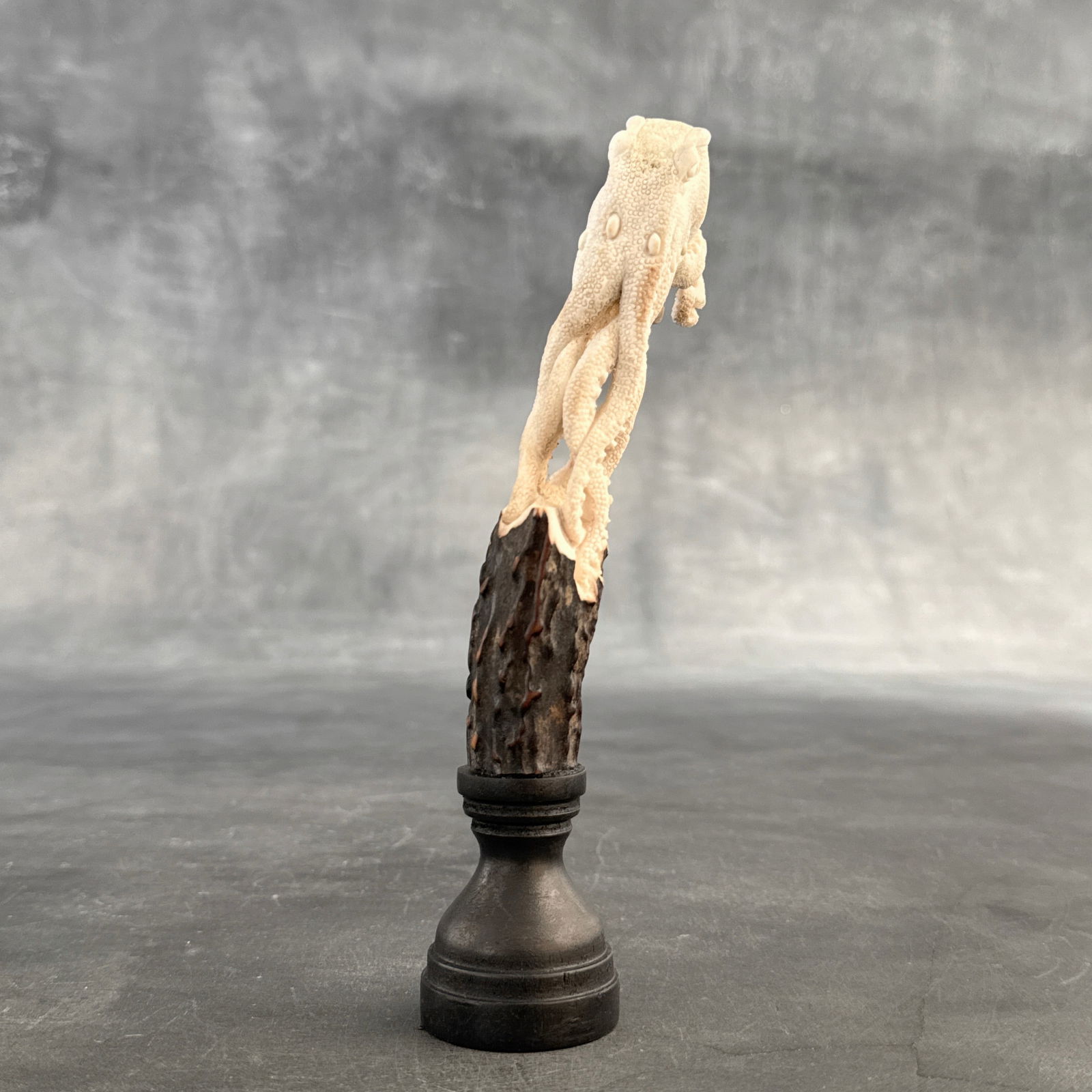 Stunning carved deer antler with stand - Octopus carving - 8