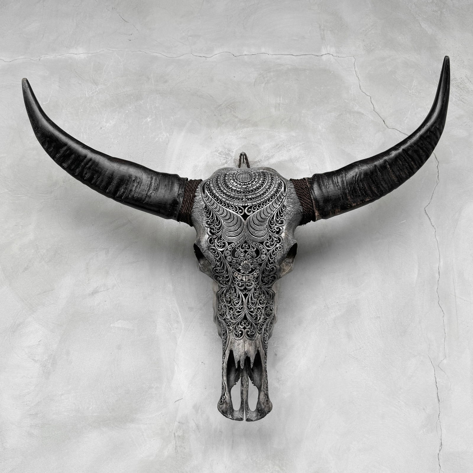 Stunning carved grey water buffalo skull - Badong motif - 10