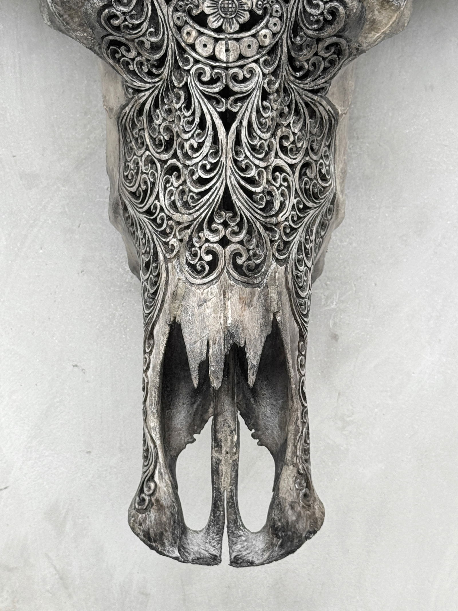 Stunning carved grey water buffalo skull - Badong motif - 5