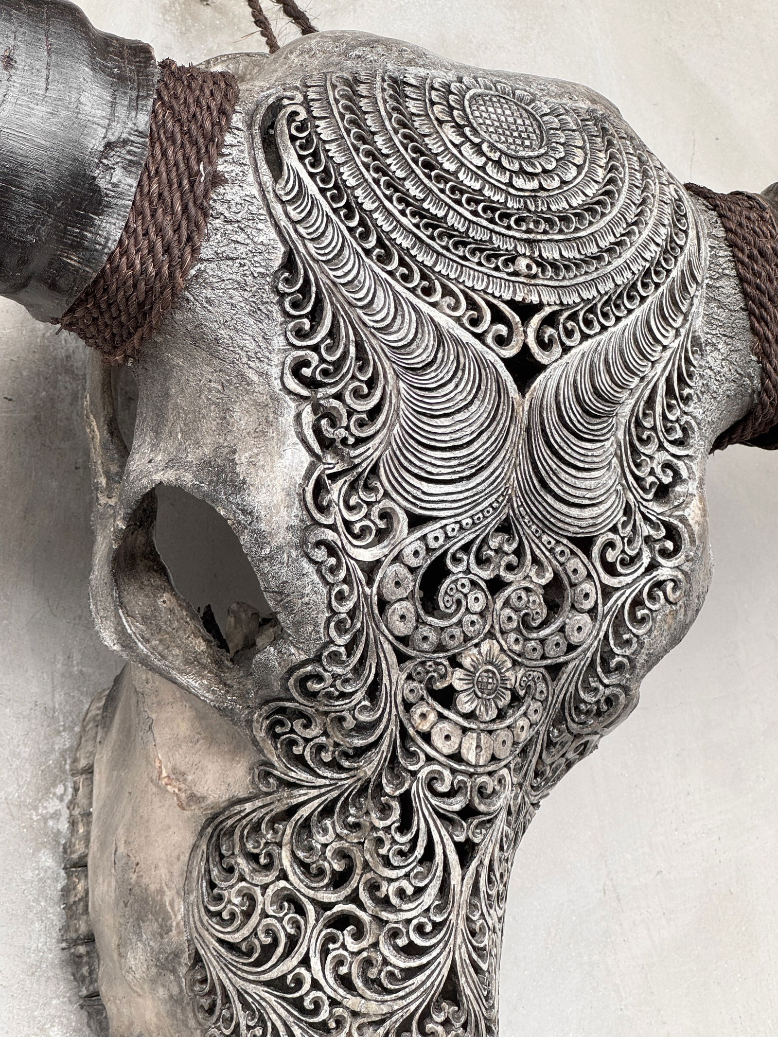 Stunning carved grey water buffalo skull - Badong motif - 7