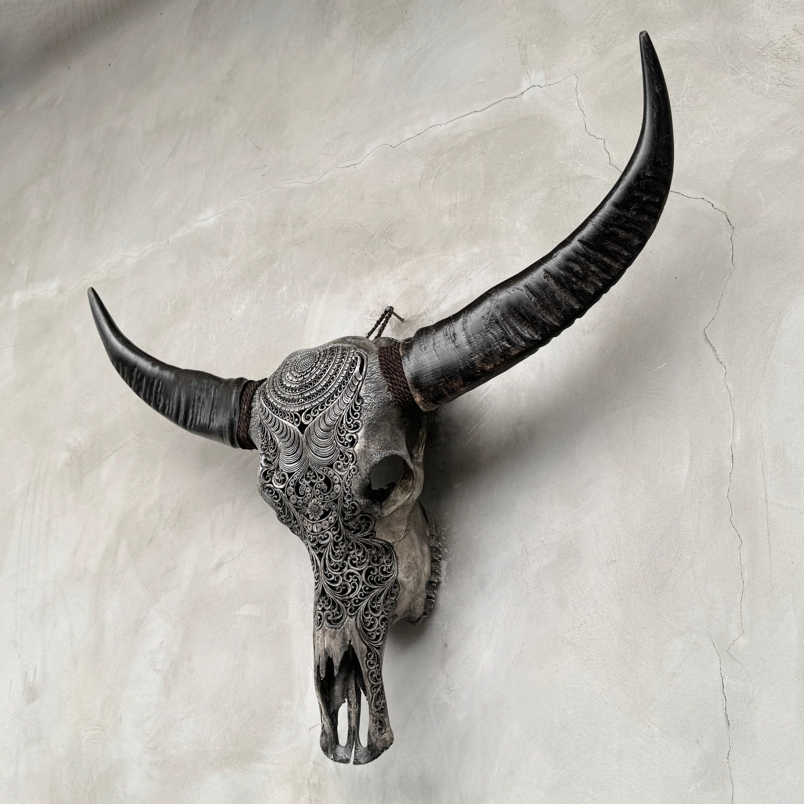 Stunning carved grey water buffalo skull - Badong motif - 8