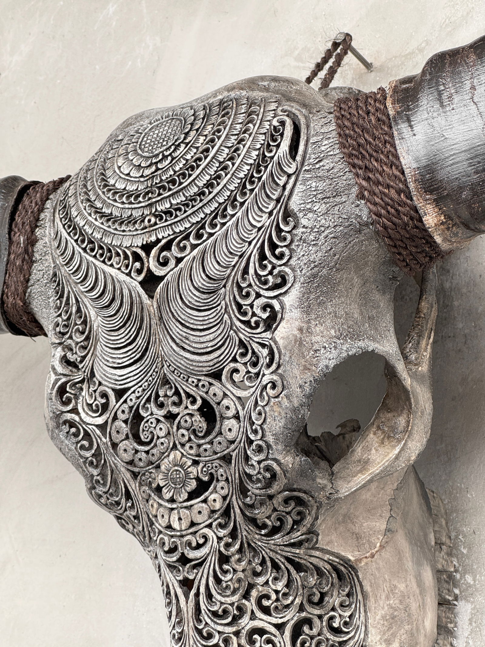 Stunning carved grey water buffalo skull - Badong motif - 9