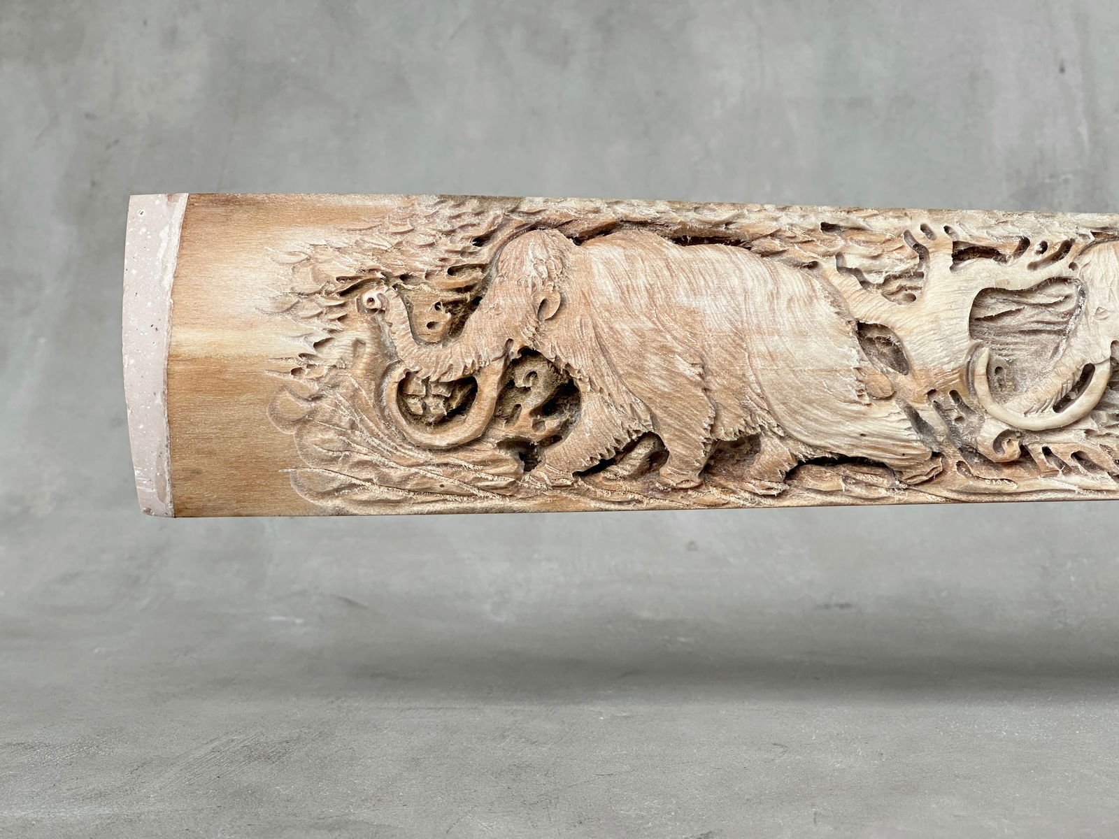 Large engraved Swordfish rostrum - Prehistoric Woolly Mammoth Scene - 6