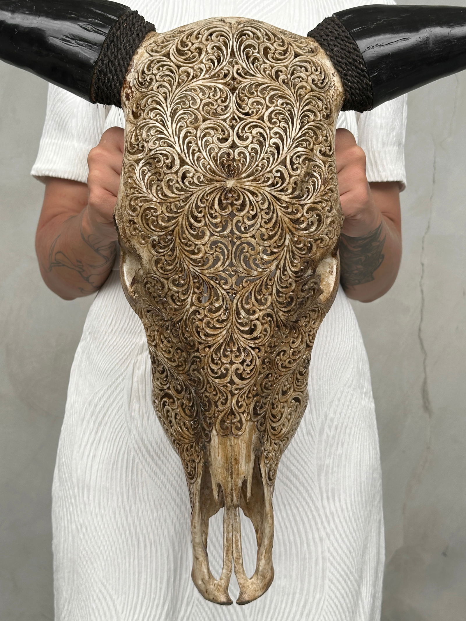 Brown carved bull's skull - Fern motif: Title: Brown carved bull's skull - Fern motifMaker:UnknownOrigin: IndonesiaDate/Period:2025Materials:Bos Taurus, Bone, HornDimensions:Height: 55 cm / 21.6 inches Width: 72 cm / 28.3