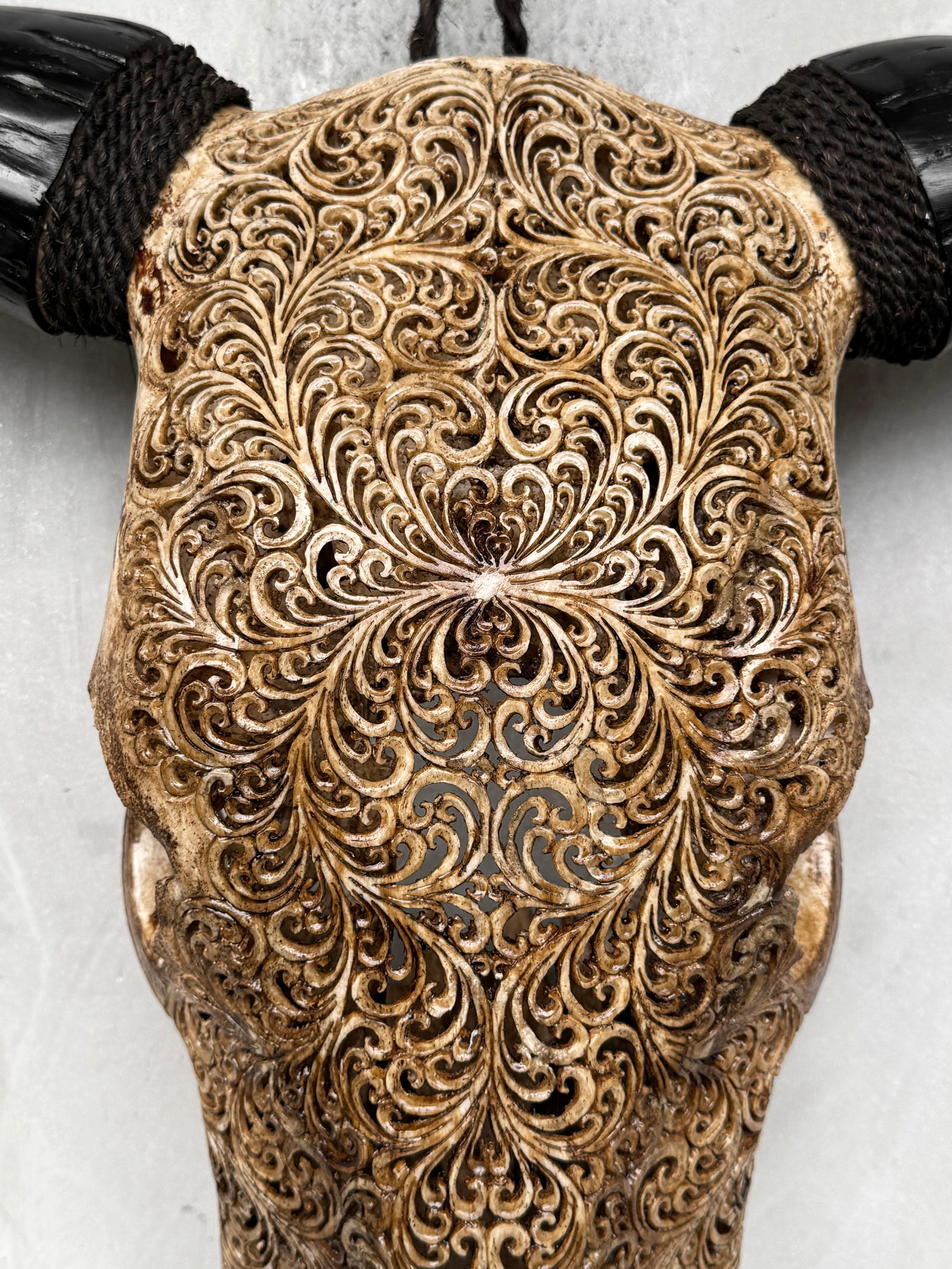 Brown carved bull's skull - Fern motif - 4