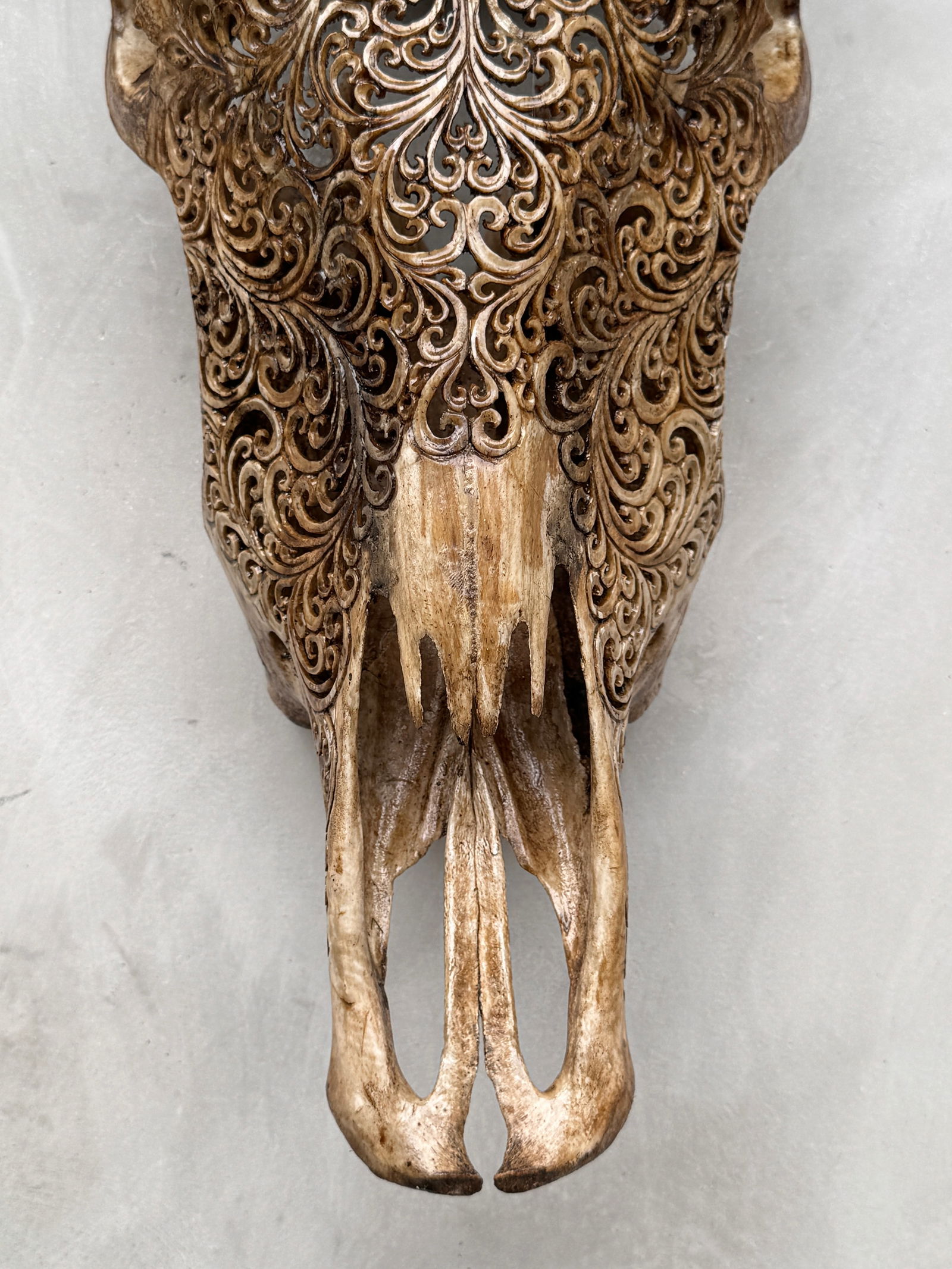 Brown carved bull's skull - Fern motif - 5
