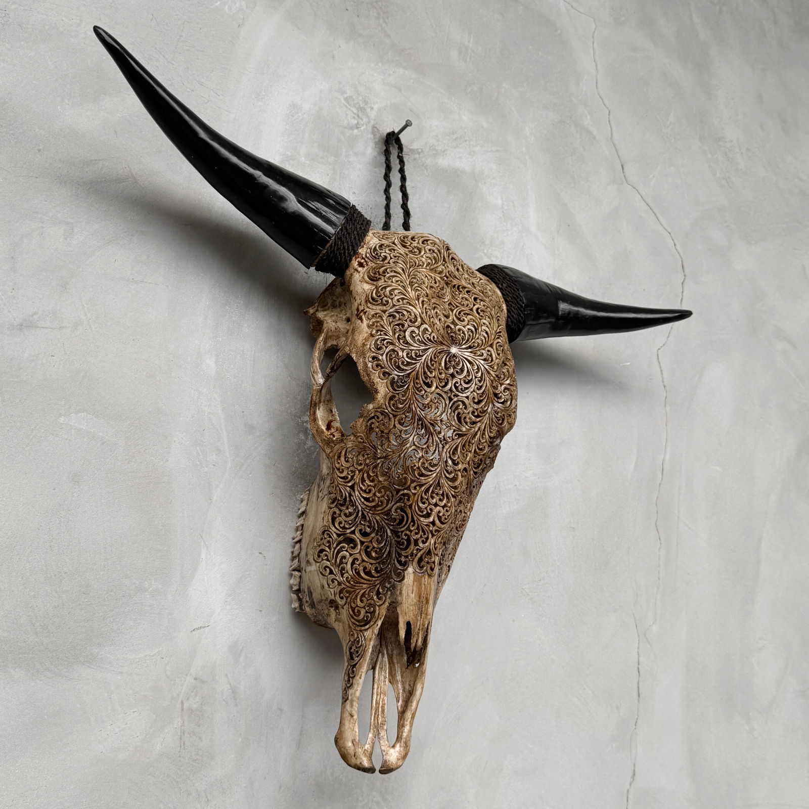 Brown carved bull's skull - Fern motif - 6