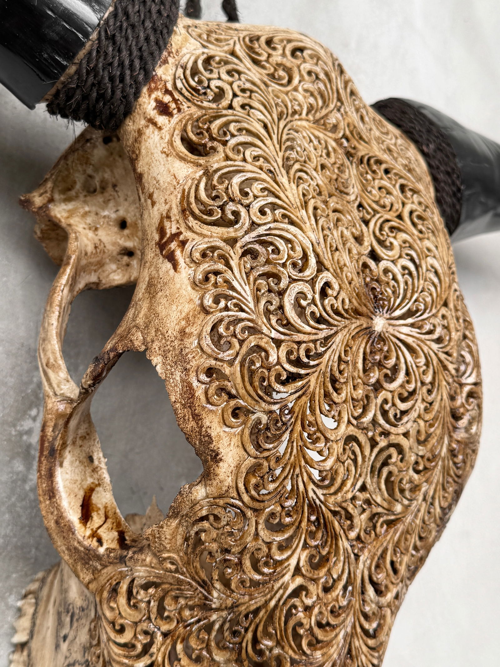 Brown carved bull's skull - Fern motif - 7