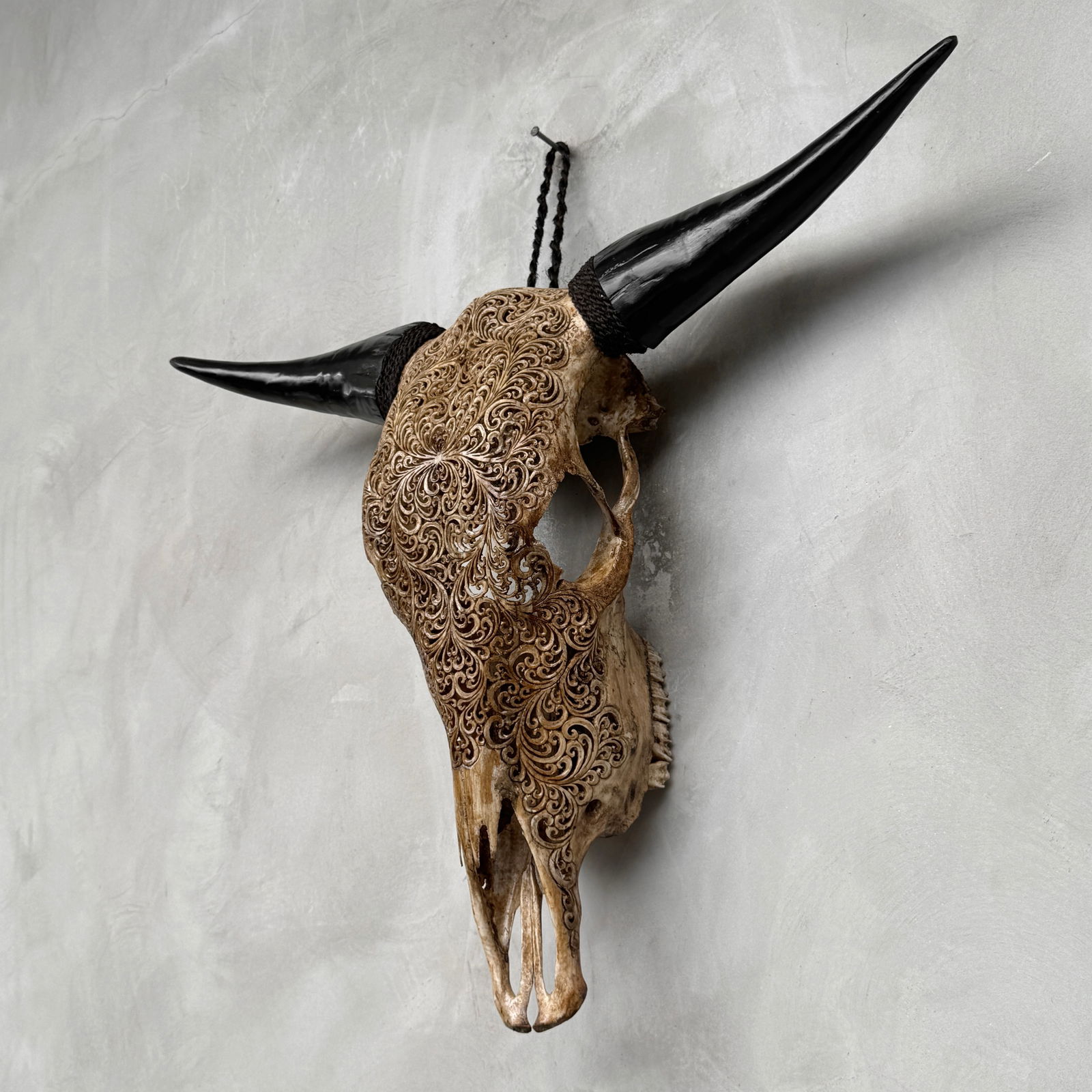 Brown carved bull's skull - Fern motif - 8