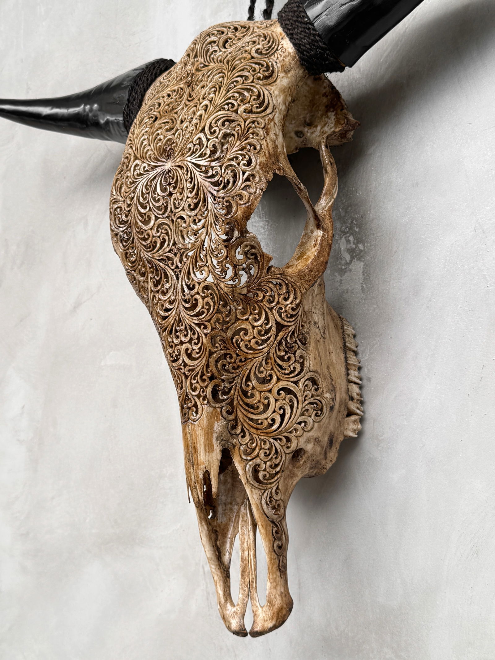 Brown carved bull's skull - Fern motif - 9