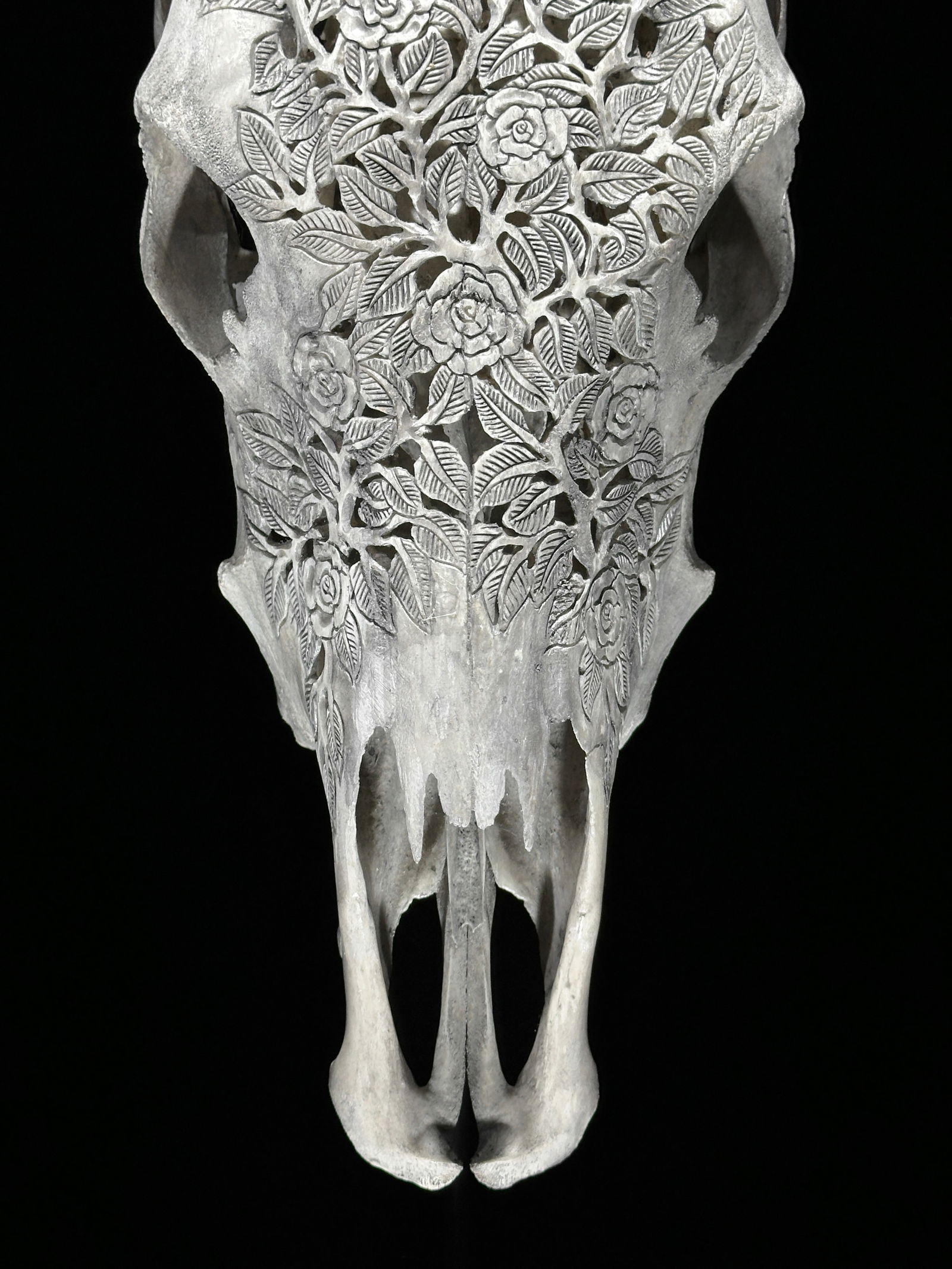 Carved grey cow skull - Roses Motif - 4