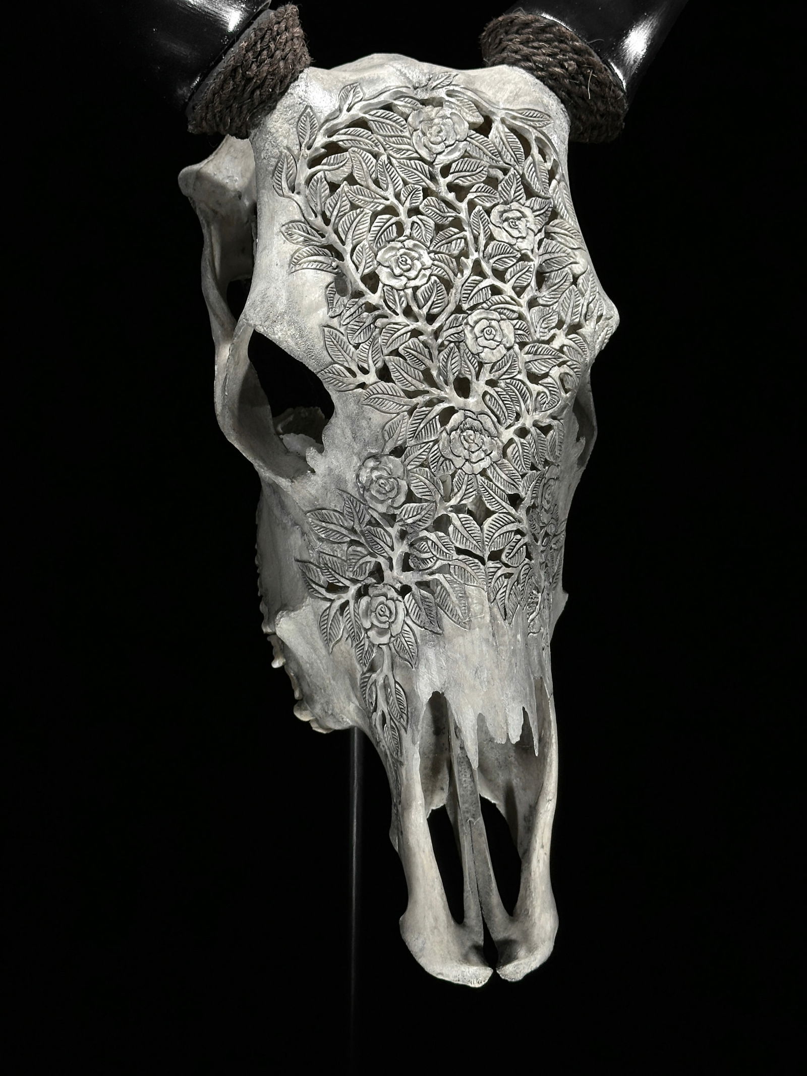 Carved grey cow skull - Roses Motif - 6