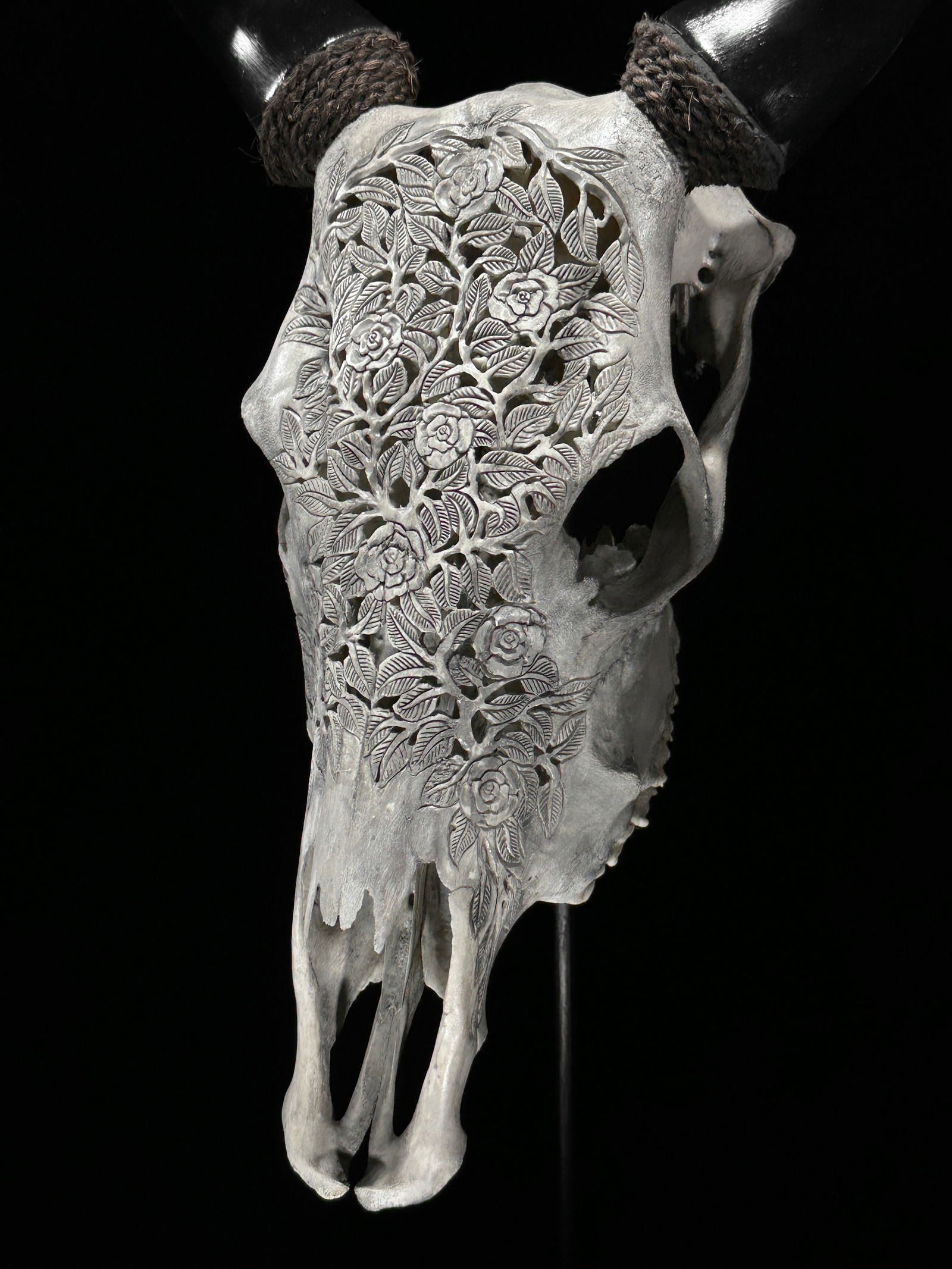 Carved grey cow skull - Roses Motif - 9