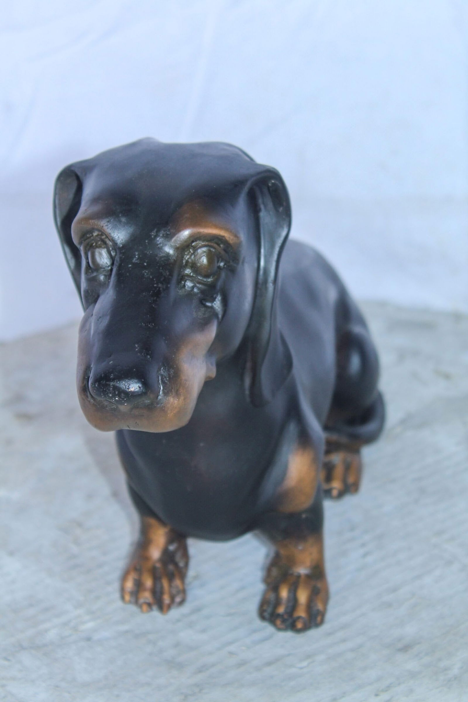 Adorable Dachshund Dog Sitting Bronze Statue 17" x 5" x 10"H - 7