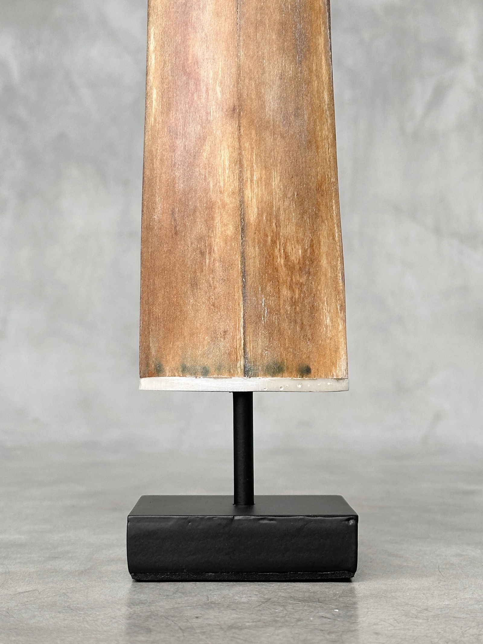 Swordfish tusk with stand - 4