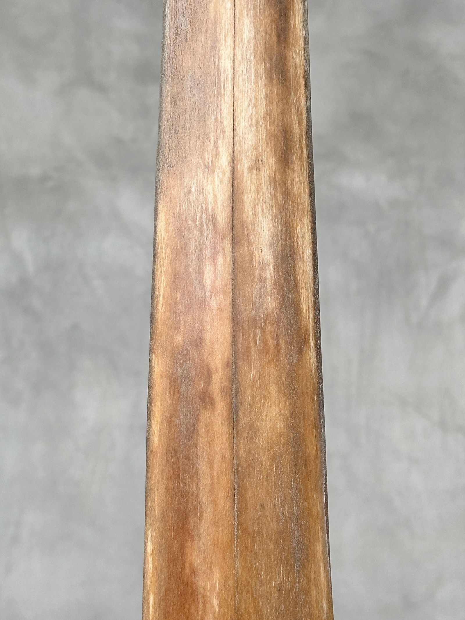 Swordfish tusk with stand - 5
