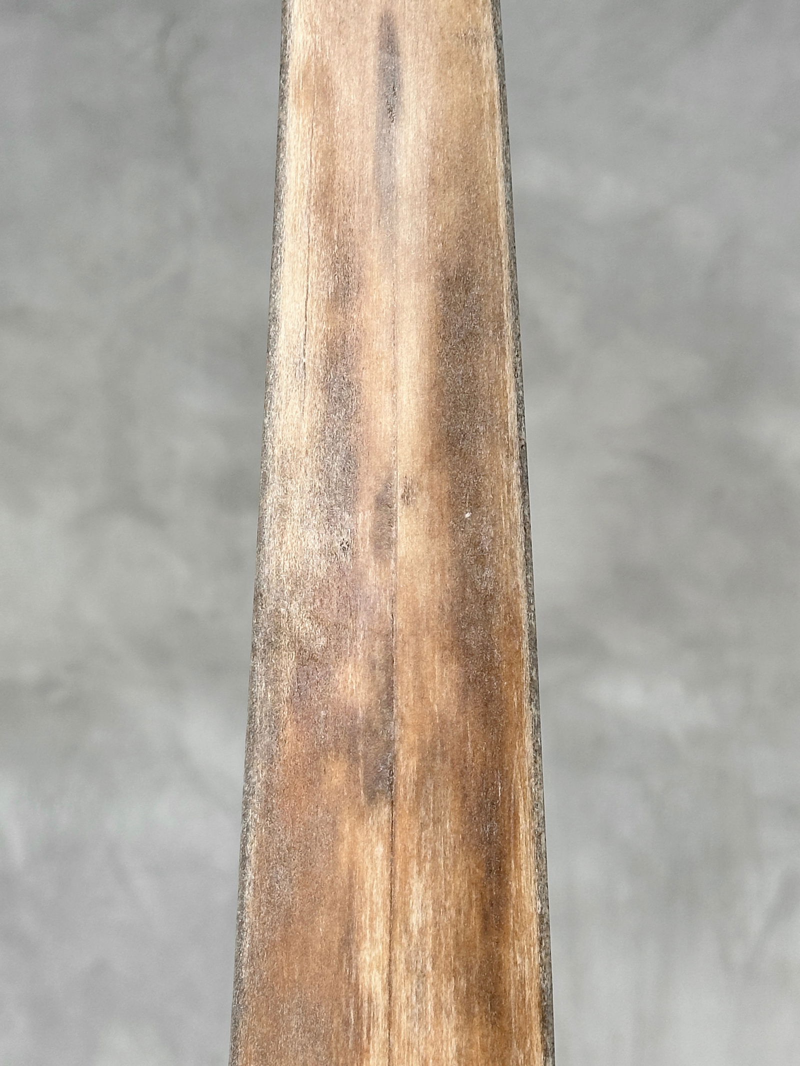 Swordfish tusk with stand - 6
