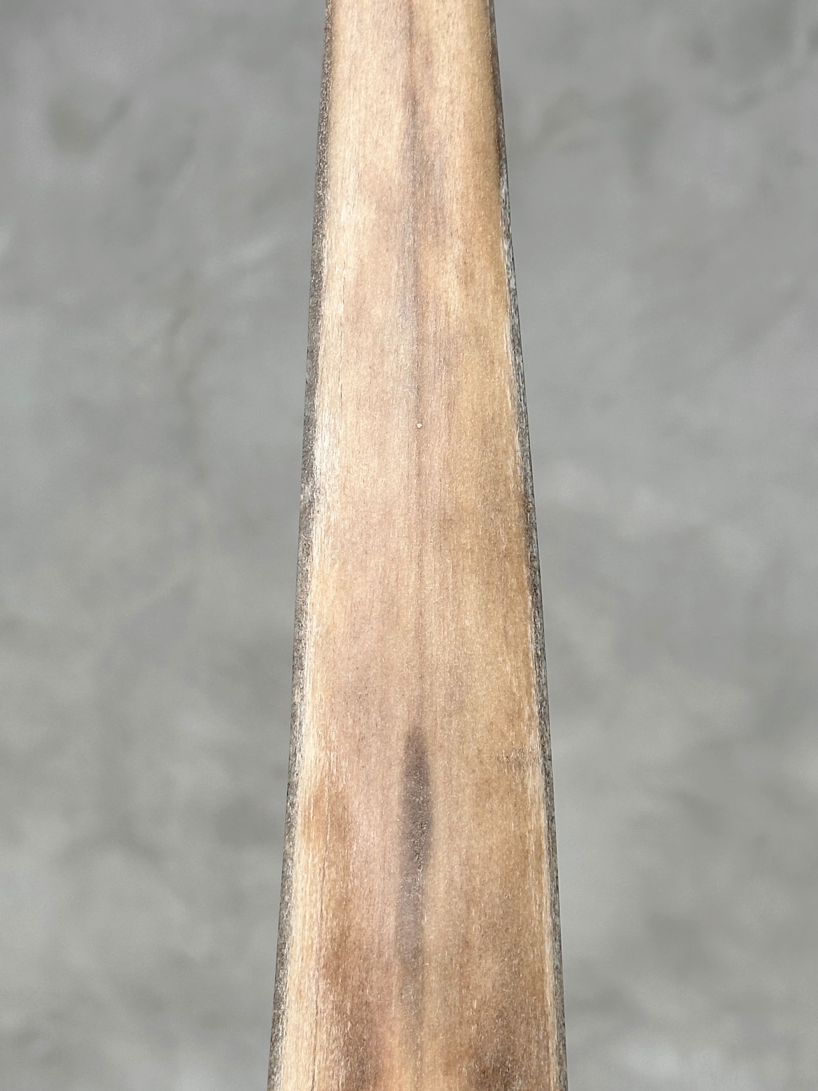 Swordfish tusk with stand - 7