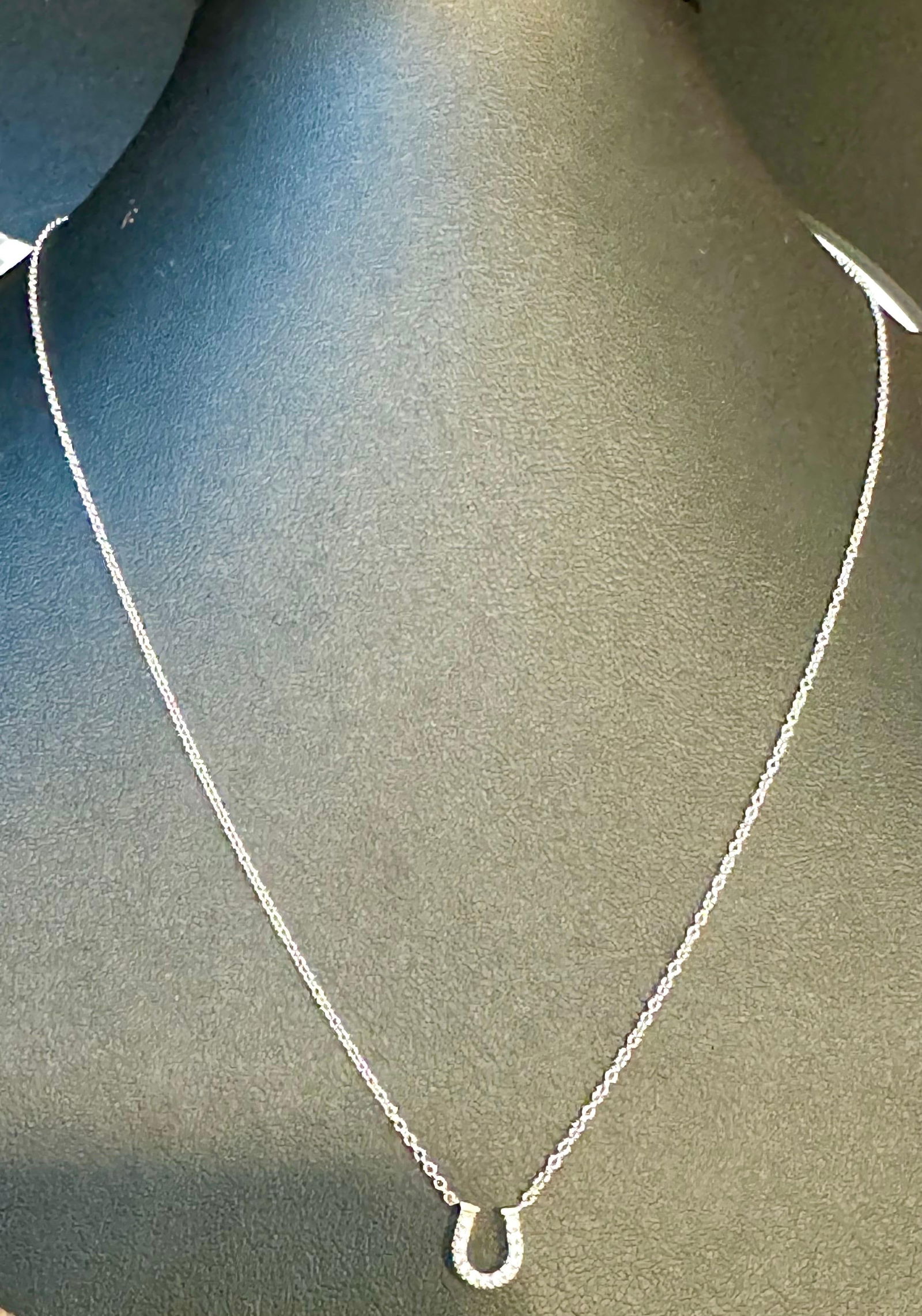 Tiffany & Co. Horseshoe 18P Diamond Necklace 16" 18 Karat White Gold Authentic - 13