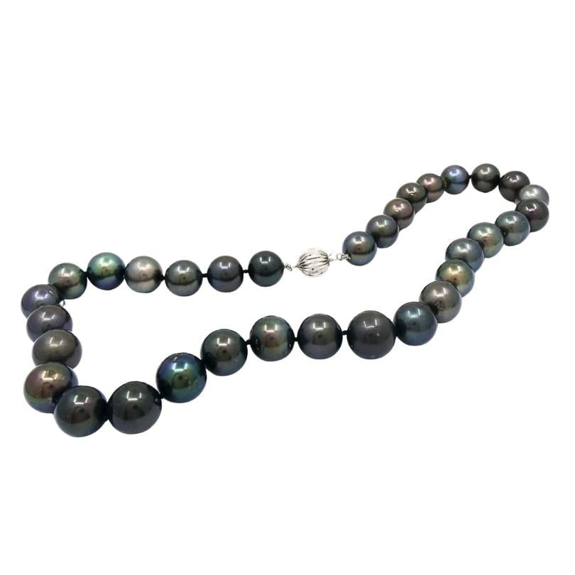 Tahitian Pearl Strand Necklace 14k Gold Clasp - 3