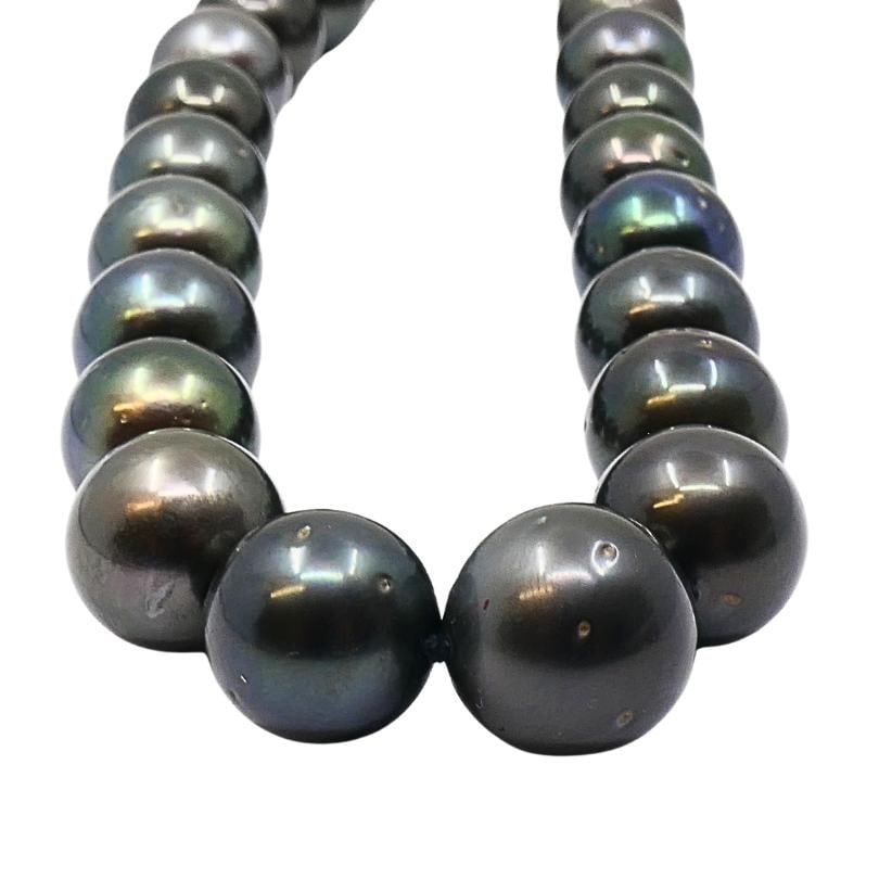 Tahitian Pearl Strand Necklace 14k Gold Clasp - 4