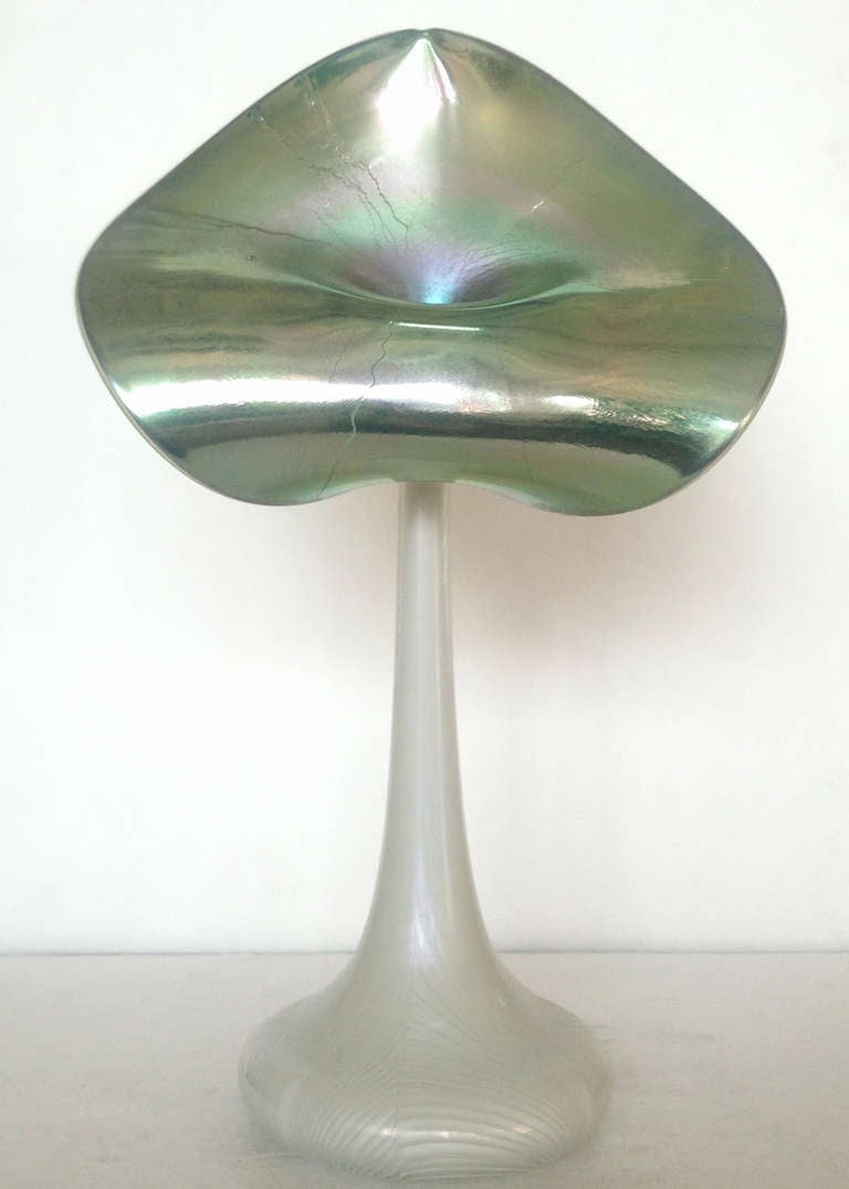 Jack-in-the-Pulpit Glass Vase by Stuart Abelman - 3