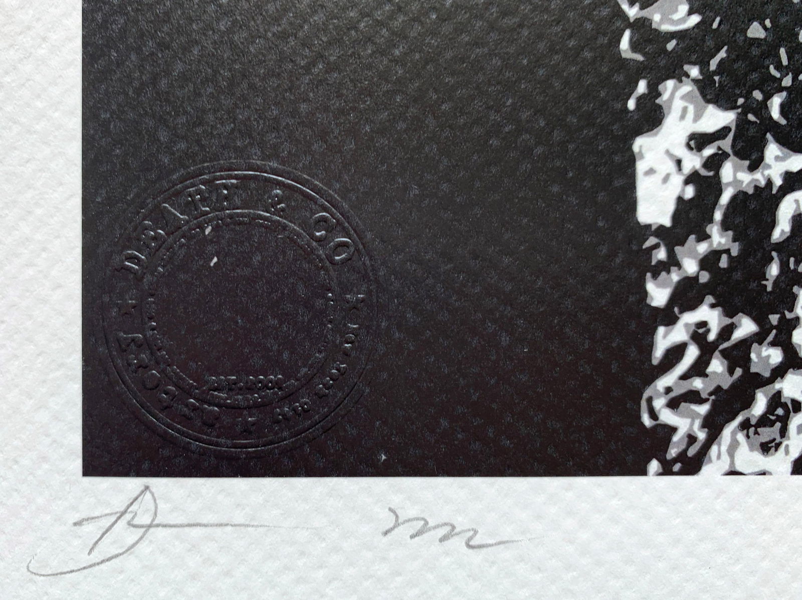 Death NYC Dali Kitty Van Gogh - 2