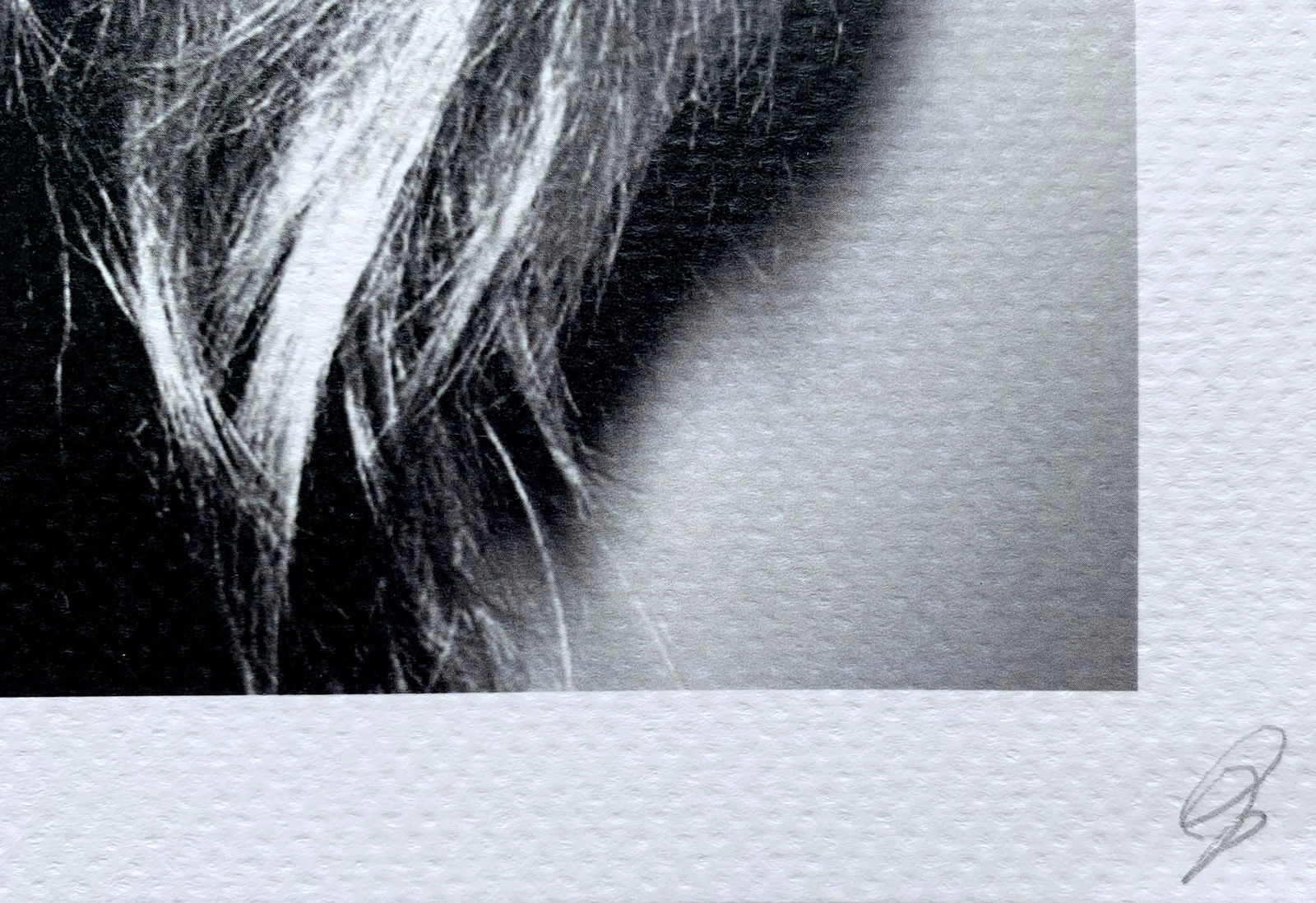 Death NYC Rihanna Kate Moss - 3