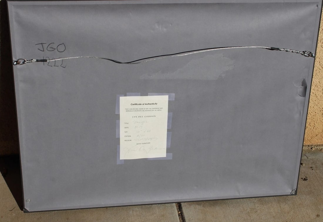 JAN DEE GORDON Back of a Female "STRENGTH" 2/20 Archival Pigment Print COA $950 - 4