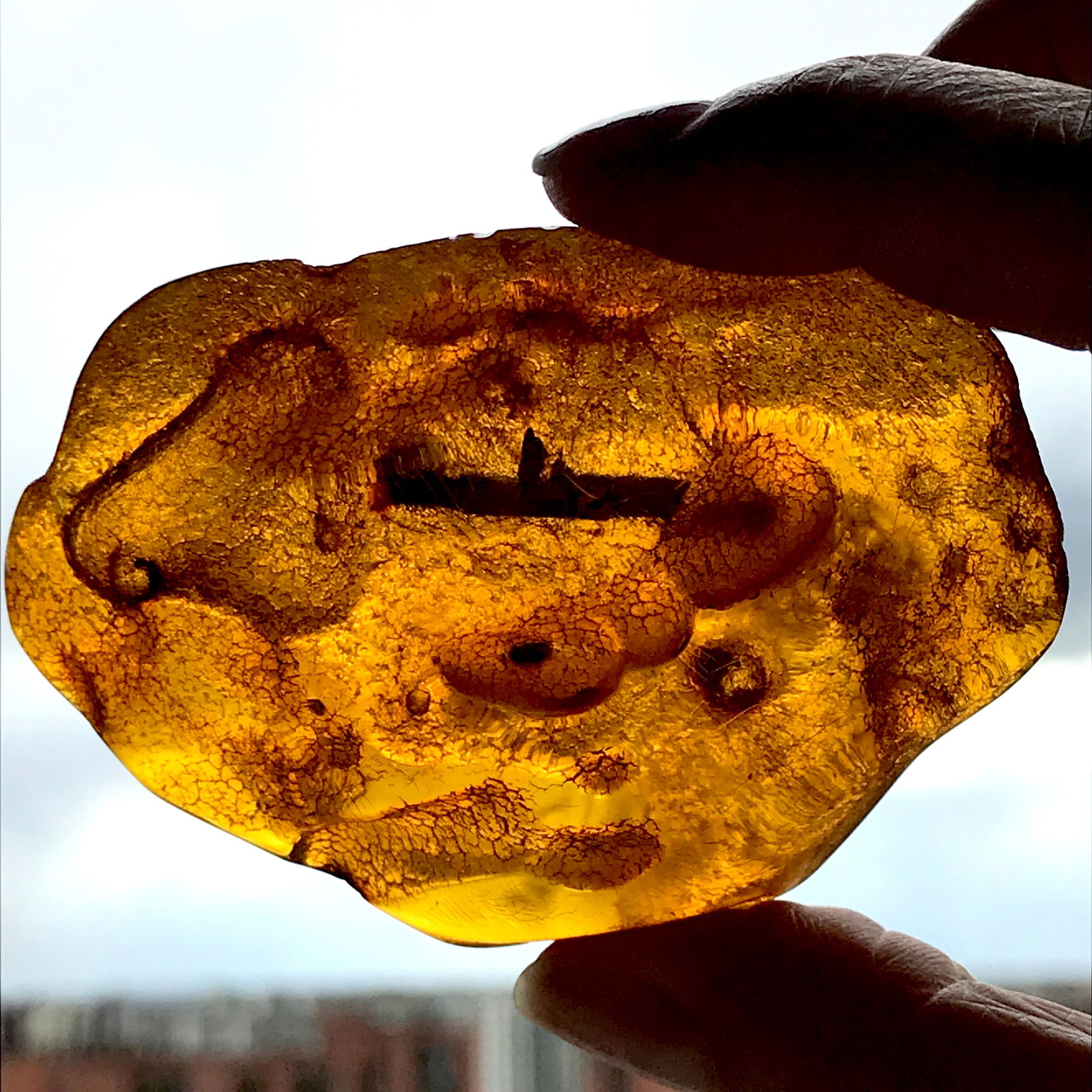 Phenomenal Vintage Amber Brooch - 4