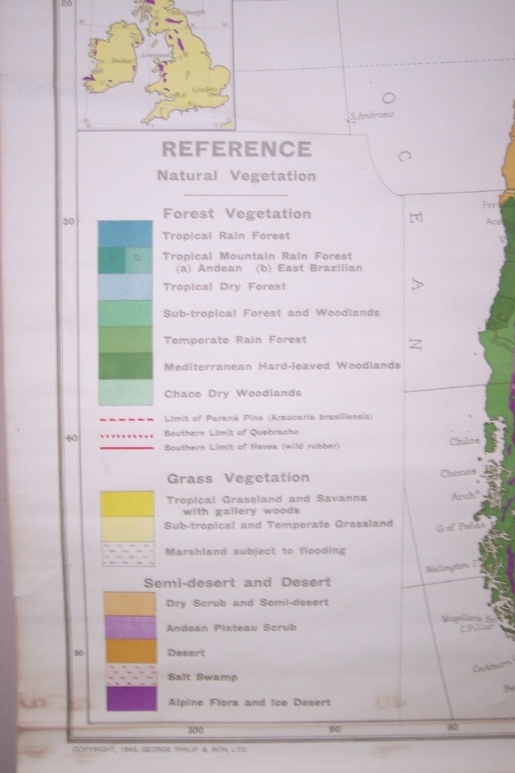Philips' Series of Comparative Wall Atlases - South America Natural Vegetation - 3