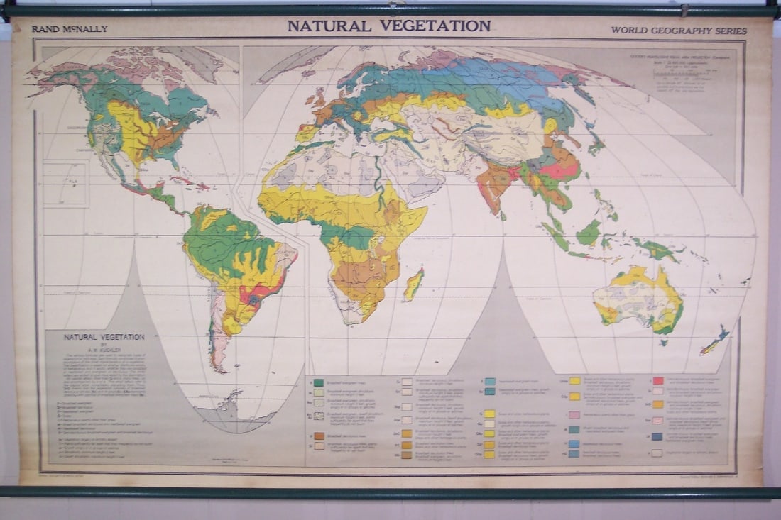 Natural Vegetation (World): Publication Date:c1950Title:Natural Vegetation (World)Cartographer:Publisher:RAND MCNALLY & COBrief Description:World Geography Series. Natural vegetation from Taiga to Tundra, Evergreen Forest to