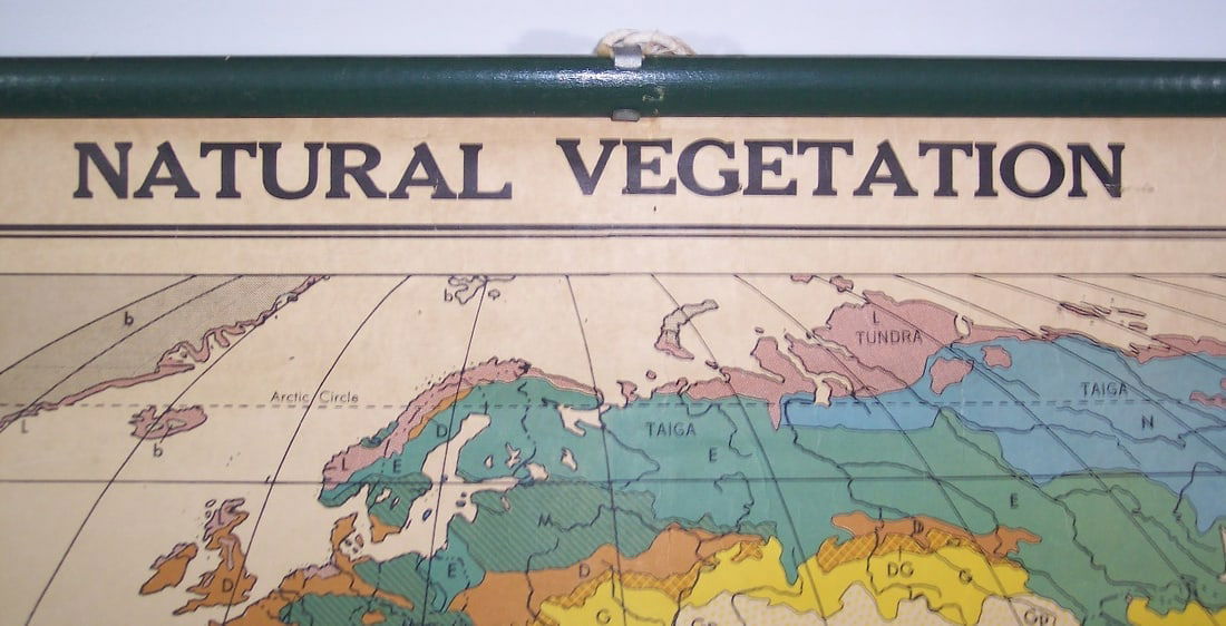 Natural Vegetation (World) - 2