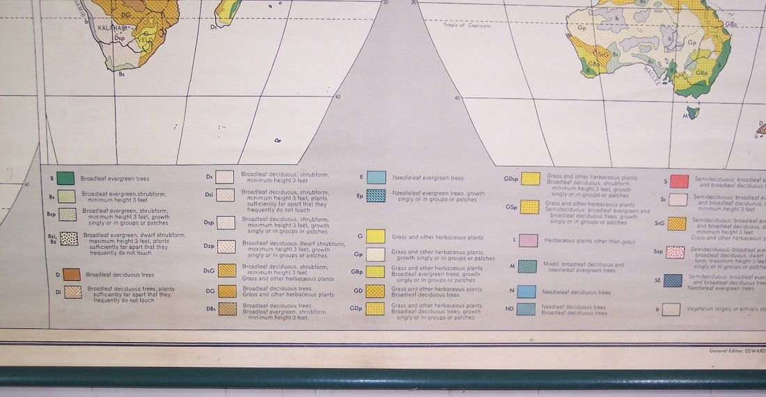 Natural Vegetation (World) - 3