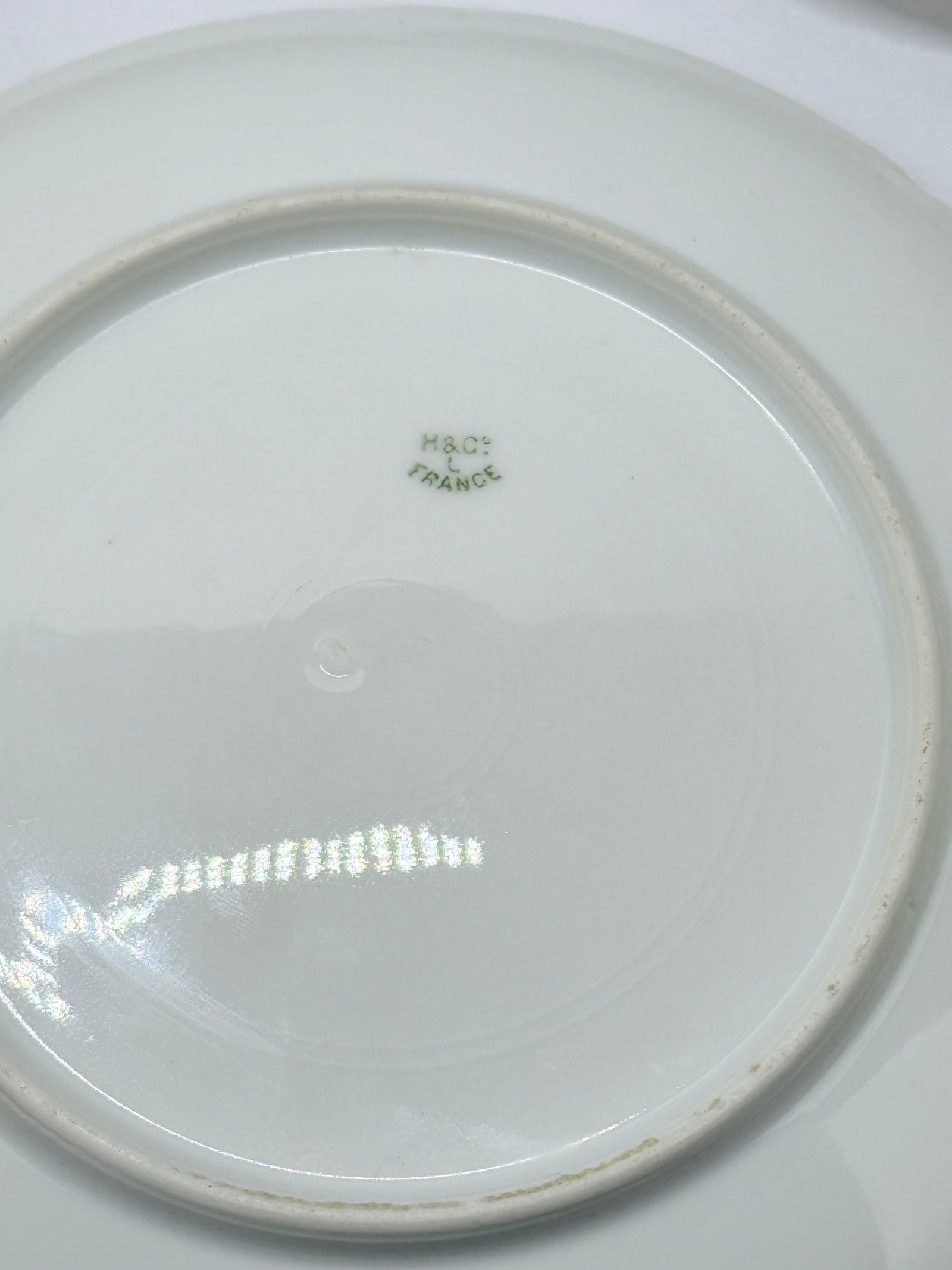 Exceptional 13 Pc, Porcelain Seafood Service by Haviland Limoges Circa. 1890 - 9